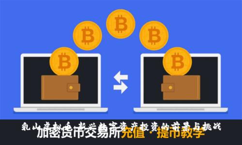 乳山虚拟币：新兴数字资产投资的前景与挑战