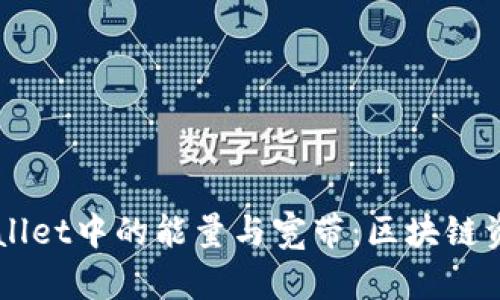 ### 理解TPWallet中的能量与宽带：区块链资产管理新手指南
