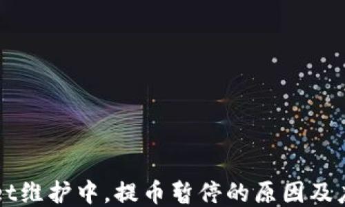 
TPWallet维护中，提币暂停的原因及应对方法