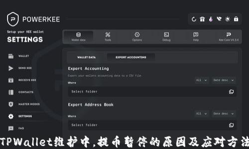 
TPWallet维护中，提币暂停的原因及应对方法