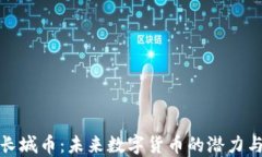 详解长城币：未来数字货