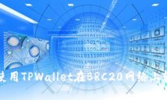 : 如何使用TPWallet在BRC20网