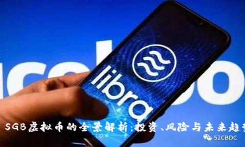 : SGB虚拟币的全景解析：投资、风险与未来趋势