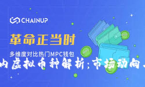 2023年国内虚拟币种解析：市场动向与投资机会