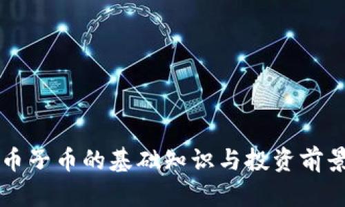 虚拟币子币的基础知识与投资前景分析