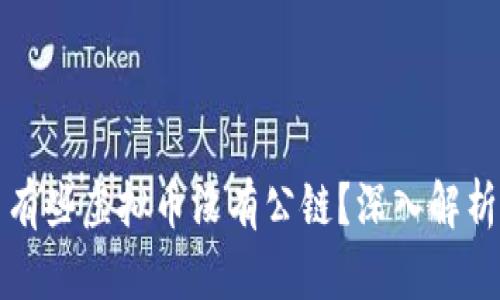 为什么有些虚拟币没有公链？深入解析与影响
