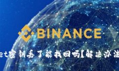 tpwallet密钥丢了能找回吗？