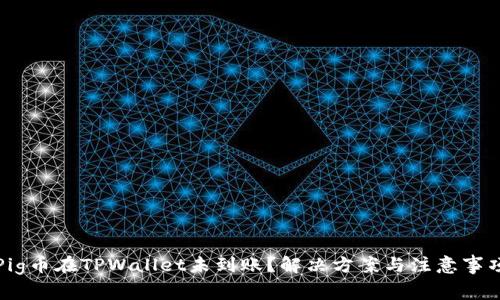 Pig币在TPWallet未到账？解决方案与注意事项