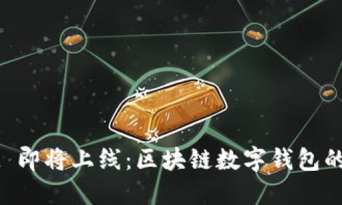 TPWallet 即将上线：区块链数字钱包的未来展望
