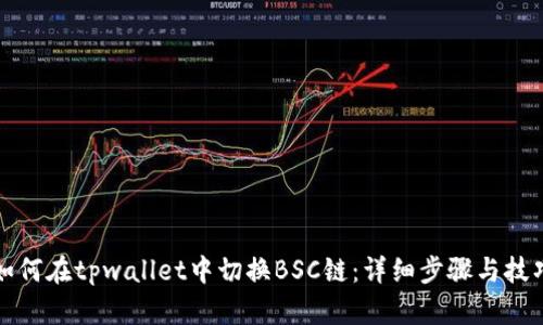 如何在tpwallet中切换BSC链：详细步骤与技巧