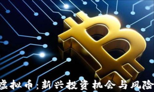 
ICO虚拟币：新兴投资机会与风险解析