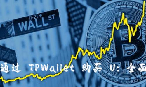 如何通过 TPWallet 购买 U: 全面指南