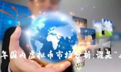 2023年国内虚拟币市场分析