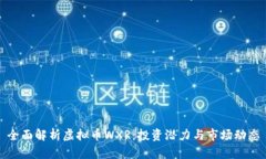 全面解析虚拟币WXR：投资