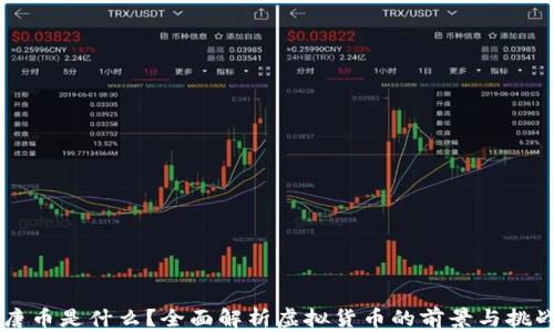 
唐币是什么？全面解析虚拟货币的前景与挑战
