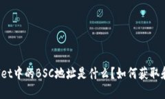 TPWallet中的BSC地址是什么？