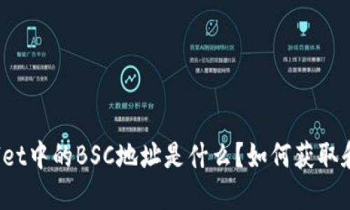 TPWallet中的BSC地址是什么？如何获取和使用？