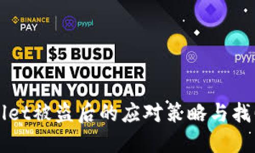 TPWallet被盗后的应对策略与找回方法