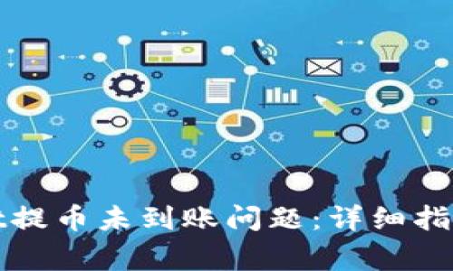 如何解决tpwallet提币未到账问题：详细指南与常见解决方案
