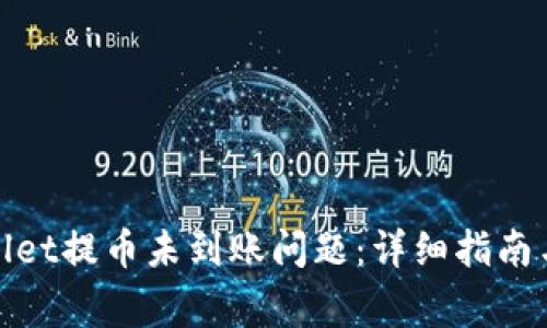 如何解决tpwallet提币未到账问题：详细指南与常见解决方案