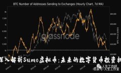 : 深入解析Sumo虚拟币：未