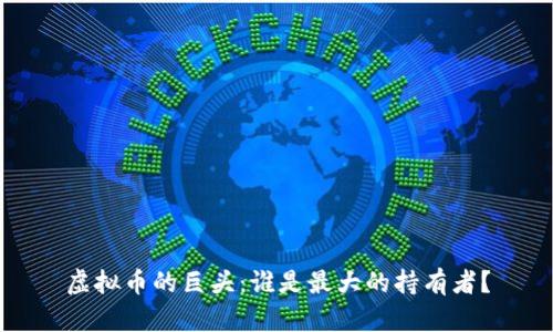 虚拟币的巨头：谁是最大的持有者？