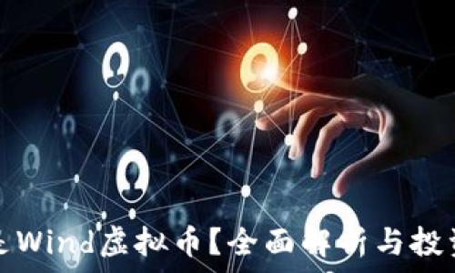   
什么是Wind虚拟币？全面解析与投资前景