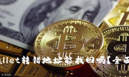 TPWallet转错地址能找回吗？全面解析