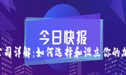 BVI虚拟币公司详解：如何选择和设立你的加密货币企业