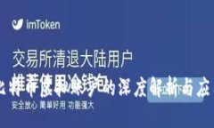 比特币虚拟账户的深度解