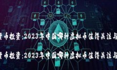 虚拟货币投资：2023年中国