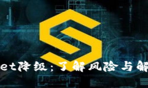 TPWallet降级：了解风险与解决方案