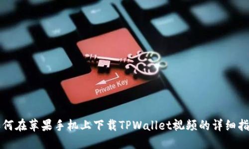 如何在苹果手机上下载TPWallet视频的详细指南