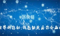 虚拟币世界的隐秘：钱包