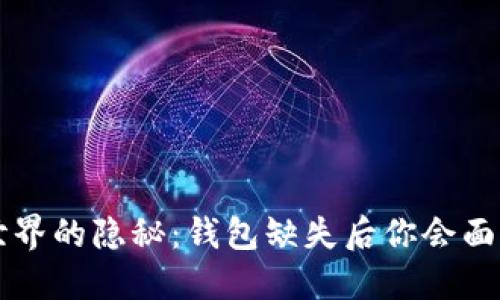 虚拟币世界的隐秘：钱包缺失后你会面临的挑战