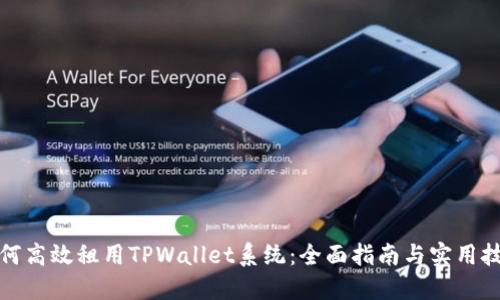 如何高效租用TPWallet系统：全面指南与实用技巧