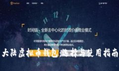 大陆虚拟币钱包：选择与