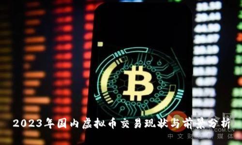 2023年国内虚拟币交易现状与前景分析