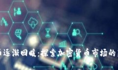 虚拟币逐渐回暖：探索加