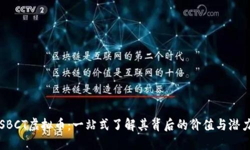 SBCT虚拟币：一站式了解其背后的价值与潜力