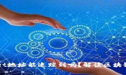 ### TPWallet地址能追踪到吗？解读区块链隐私与透明性