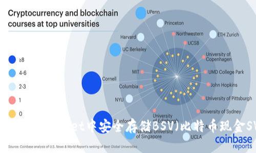 如何在TPWallet中安全存储BSV（比特币现金SV）