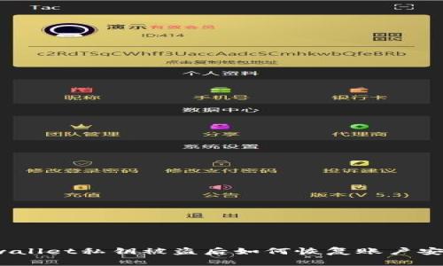 tpwallet私钥被盗后如何恢复账户安全？