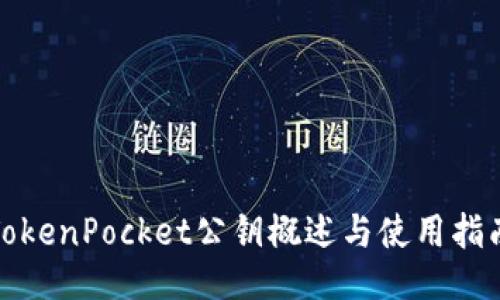 TokenPocket公钥概述与使用指南