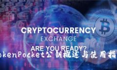 TokenPocket公钥概述与使用指