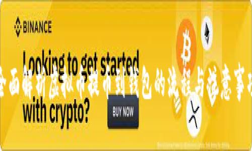 全面解析虚拟币提币到钱包的流程与注意事项