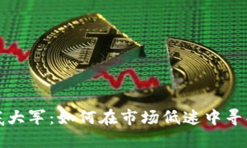 虚拟币抄底大军：如何在市场低迷中寻找投资机会