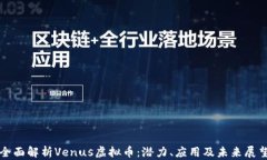 全面解析Venus虚拟币：潜力