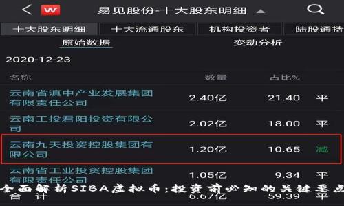 全面解析SIBA虚拟币：投资前必知的关键要点