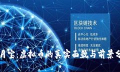 登月宝：虚拟币的真实面